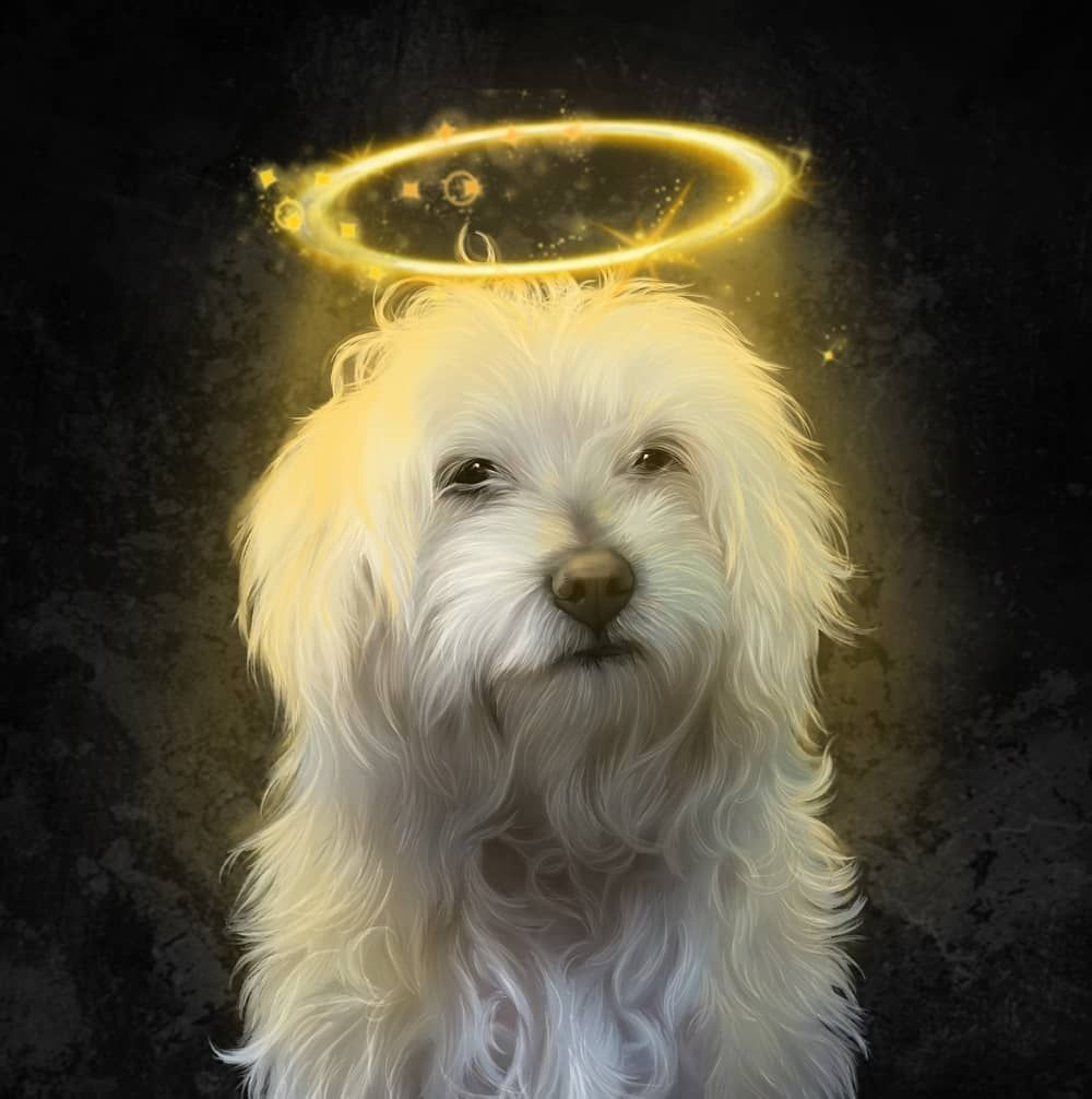 Diamond Painting - An Angel Puppy