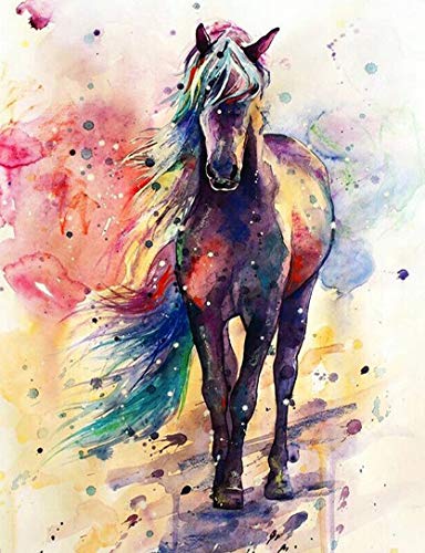 Diamond Painting -  A Colorful Horse